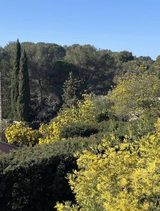 St Raphael 37M2, Piscine, Wifi, Commerces Mer 5Mn A Pieds Saint-Raphael  Bagian luar foto