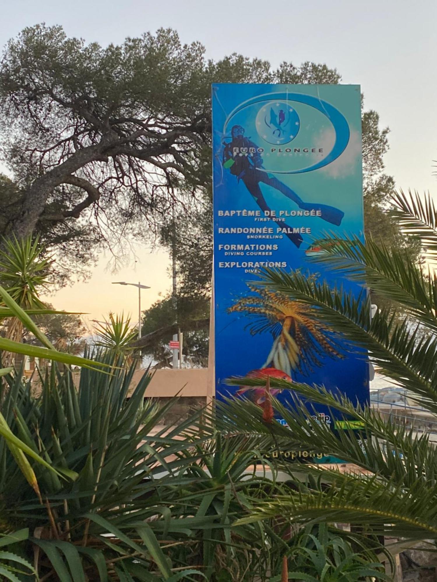 St Raphael 37M2, Piscine, Wifi, Commerces Mer 5Mn A Pieds Saint-Raphael  Bagian luar foto